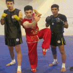 Iran's Wushu Team